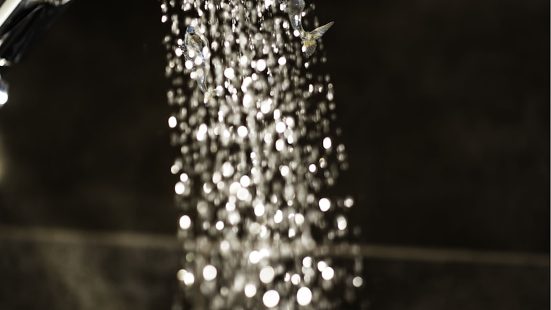 驟雨とにわか雨の違いをやさしく解説|意味・使い分け・天気予報での見分け方までわかるタイトル