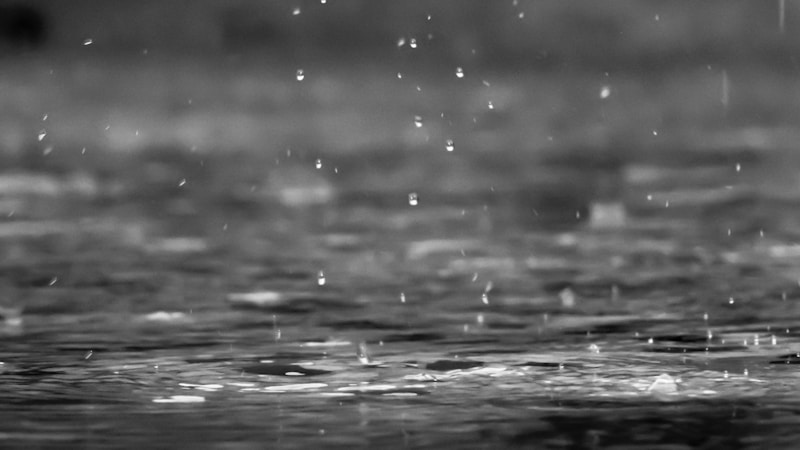驟雨とにわか雨の違いをやさしく解説|意味・使い分け・天気予報での見分け方までわかるタイトル